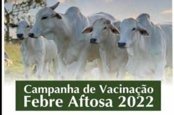 Campanha de Vacinação Febre Aftosa 2022. 