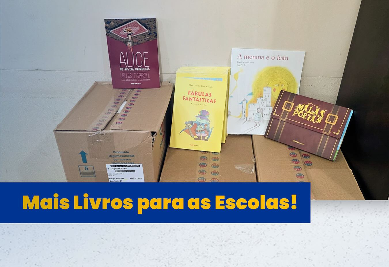 Mais Livros nas escolas
